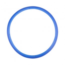 SILICONE GASKET FOR WOSON 10L AND 12L BLUE 11MM AUTOCLAVES