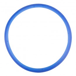 SILICONE GASKET FOR WOSON 18L AND 23L BLUE 11MM AUTOCLAVES