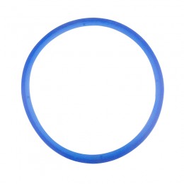 SILICONE GASKET FOR WOSON 7L AND 8L BLUE 11MM AUTOCLAVES